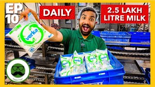 25 Lakh Litre Milk Daily  Packet Milk Factory Tour  How Packet Milk is Made  Veggie Paaji [upl. by Bedelia105]