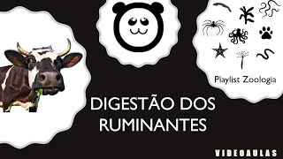 Digestão dos Ruminantes [upl. by Riley]