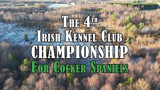 The 4th IKC Cocker Championship 2022 Preview [upl. by Ahsinev483]