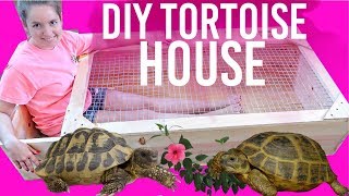 DIY Tortoise House  How To Build Huge Tortoise House Enclosure [upl. by Rebane]