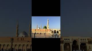 Paigham saba Lai hai Gulzar e Nabi say Naat islamiccontent islamicshorts islamicnaat islam [upl. by Nairdad929]