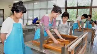 Washi craftsmanship of traditional Japanese handmade paper [upl. by Holtorf]