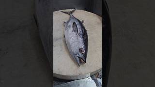 Super Famous Giant Tuna Fish Cutting Skillsshorts [upl. by Ellennahs]