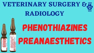 VSRPhenothiazine Preanesthetics [upl. by Jari]