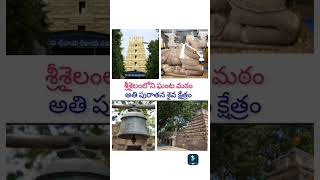 Srisailam loni Saiva kshetram  full video in channel page [upl. by Tezil]