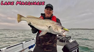 Lake Macquarie fishing  back on the water chasing jewfishmulloway [upl. by Norvil48]