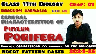 General characterstics of Phylum porifera Kingdom Animalia Invertebrates XI Biology NCERT [upl. by Boucher]