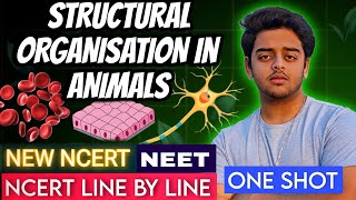 Structural Organisation in Animals  One Shot  NCERT LINE BY LINE  Class 11  NEET 2024  ZOOLOGY [upl. by Heyward936]