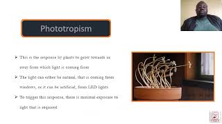 plants tropism 2 [upl. by Lexine]