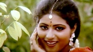 Chinna Chinna Poove  Vaidehi Kalyanam Tamil Song [upl. by Armin658]