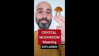 CRYSTAL MUSHROOM 🍄 Meanings amp Uses Explained Autumn fairy altar crystalscrystalhealing [upl. by Neo]