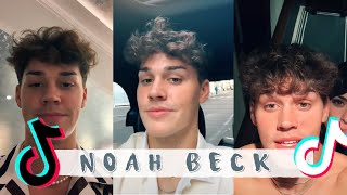 NOAH BECK ULTIMATE TIKTOK COMPILATION [upl. by Nylsoj562]