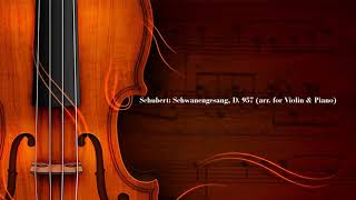 Schubert Schwanengesang D 957 quotSwan Songquot arr for Violin amp Piano [upl. by Yhtur506]