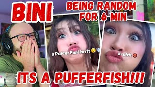 A pufferfish Reacting to BINI being random for 6 minutes [upl. by Coulter168]