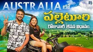 Daily Iife In Village  Melbourne Australia 🇦🇺  Uma Telugu Traveller [upl. by Shuler]