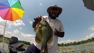 Shellcracker Fishing catching Huge Monster Slabs [upl. by Enitram]