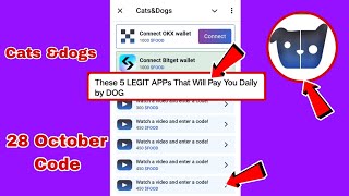 Watch A Video And Enter A Code 28 October CATSampDOGS Watch A Video And Enter A Code Today CATSampDOGS [upl. by Akinihs]