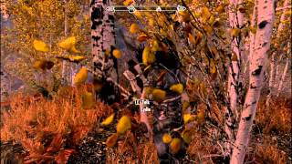 Skyrim Mods Vilja  Part 3 [upl. by Codie]