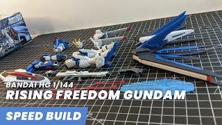 Bandai HG 1144 Rising Freedom Gundam Speed Build Seedtember [upl. by Yrehc]