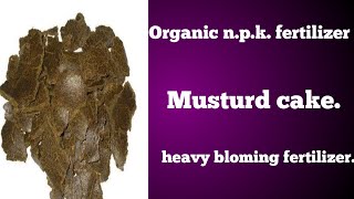 Organic npk  musturd cake fertilizer  kaise banaye heavy bloming fertilizer [upl. by Brackely]