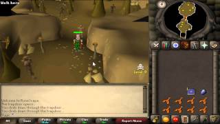 RuneScape 2007 Earth Warriors Guide Safe Spot [upl. by Siloa582]