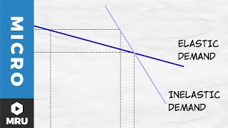 Elasticity of Demand [upl. by Inimak944]