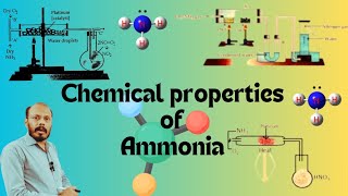 Ammonia Chemical Properties [upl. by Sowell295]