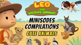 Cute Animals Minisode Compilation  Leo the Wildlife Ranger  Animation  For Kids [upl. by Birkner]