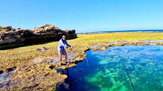 Fishing Reef Holes Along a Remote Coast [upl. by Nuriel845]