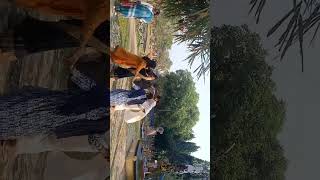 Shantiniketan shortvideo funny [upl. by Russ]