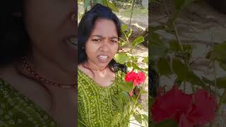 Hudhud ke phool kaisa laga 🥰🥰🥰🌹🌹🌹 [upl. by Inait]