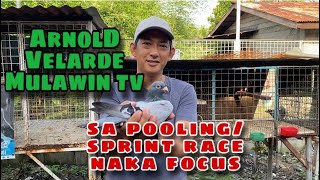 ARNOLD VELARDE quotMULAWIN TVquot  SA POOLING SPRINT RACE NAKA FOCUS Reggie Cruz Loft amp Aviary [upl. by Carman26]