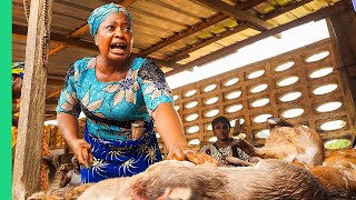 Extreme Bushmeat Nigerias WILD Animal Markets [upl. by Gastineau]