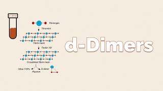 dDimers  What is this test and How to Interpret [upl. by Knighton]