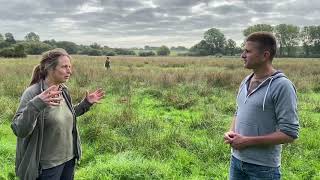 15 Conservation Corner  The last corncrake release in the Wensum Valley [upl. by Aidroc]