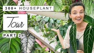 300 Houseplant Tour 🌿 2023 Plant Collection Home Tour Rare and Common 🌱 PART 2 [upl. by Lacombe728]