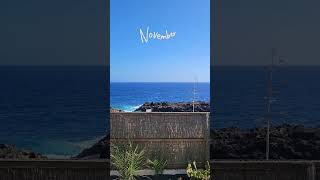 lanzarote canaryislands canarias travel spain islascanarias beach holiday nature november [upl. by Alethea]