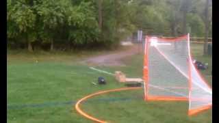 Bownet Portable Lacrosse Goal Review [upl. by Hoehne]