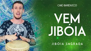 Vem Jibóia Jibóia Sagrada  Toque do Djembe por Caio Barducco [upl. by Buffy226]