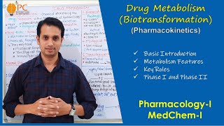 Pharmacokinetics Part 6 Drug Metabolism Biotransformation  Phase 1 amp Phase 2 Drug Metabolism [upl. by Vernier548]