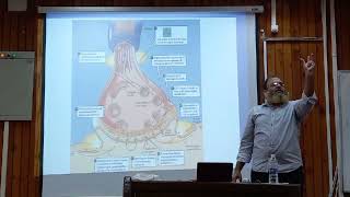 Physiology lec 3 Synapses [upl. by Cece]