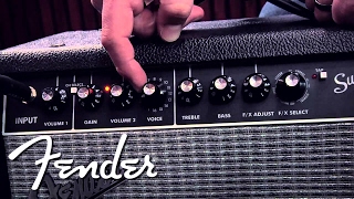 Fender Super Champ X2 DocumentaryStyle Demo  Fender [upl. by Ponton]