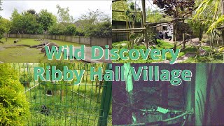 Wild Discovery Ribby Hall Village [upl. by Jeniffer529]