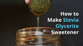 How to Make Stevia Glycerite [upl. by Anilrats72]