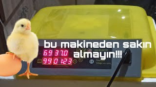 makina alacaksanız bu makinalara dikkat edinkuluçka makinesiÇIKIM VİDEOSU [upl. by Aihsiyt]