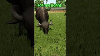 FS 25 Feature  Water Buffalofarmingsimulator25 farming simfarming fs22 fs25 [upl. by Zrike670]