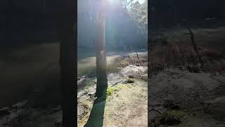 Warrandyte State Park  VIC Australia park lake river camping hike asmr relax outback [upl. by Euqinorev66]