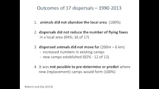 Armidale Regional Council Flying Fox information session [upl. by Gosnell]