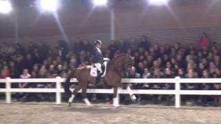 Estoril kwpn  Zhivago X Gribaldi  Stallion Show Van Uytert 2014 [upl. by Euridice329]