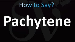 How to Pronounce Pachytene correctly [upl. by Abbotsun]